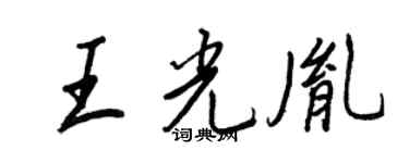 王正良王光胤行书个性签名怎么写