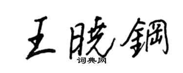 王正良王晓钢行书个性签名怎么写