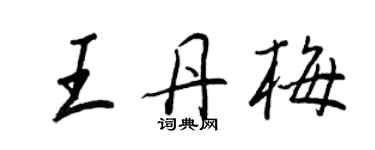 王正良王丹梅行书个性签名怎么写