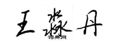 王正良王淼丹行书个性签名怎么写