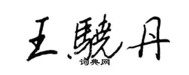 王正良王骁丹行书个性签名怎么写