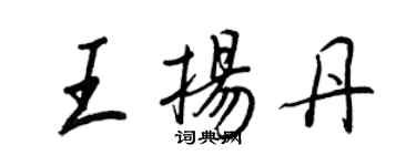 王正良王扬丹行书个性签名怎么写