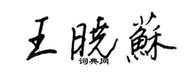 王正良王晓苏行书个性签名怎么写