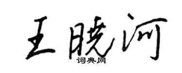 王正良王晓河行书个性签名怎么写