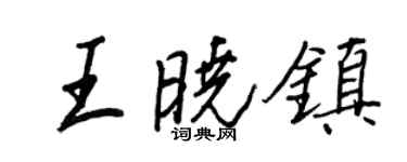 王正良王晓镇行书个性签名怎么写