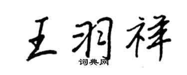 王正良王羽祥行书个性签名怎么写