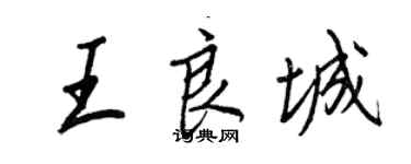 王正良王良城行书个性签名怎么写