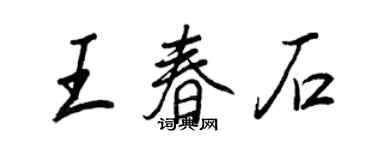 王正良王春石行书个性签名怎么写