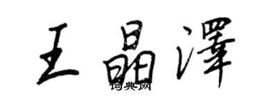 王正良王晶泽行书个性签名怎么写