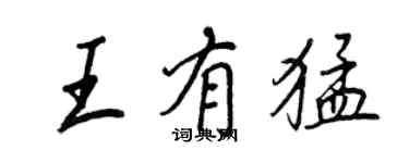 王正良王有猛行书个性签名怎么写