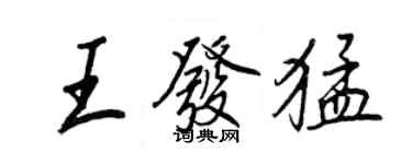 王正良王发猛行书个性签名怎么写