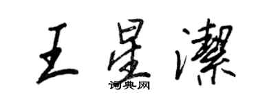 王正良王星洁行书个性签名怎么写