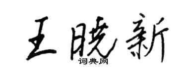 王正良王晓新行书个性签名怎么写