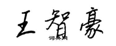 王正良王智豪行书个性签名怎么写