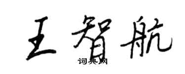 王正良王智航行书个性签名怎么写