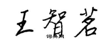 王正良王智茗行书个性签名怎么写