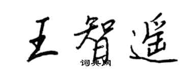 王正良王智遥行书个性签名怎么写