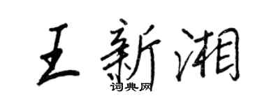 王正良王新湘行书个性签名怎么写