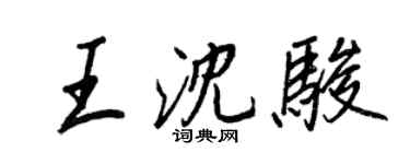 王正良王沈骏行书个性签名怎么写