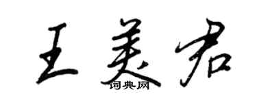 王正良王美君行书个性签名怎么写
