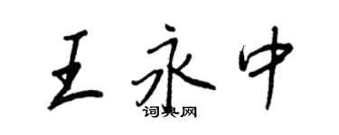 王正良王永中行书个性签名怎么写