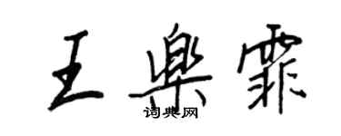 王正良王乐霏行书个性签名怎么写