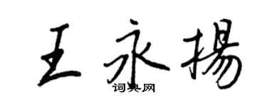 王正良王永扬行书个性签名怎么写
