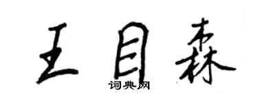 王正良王目森行书个性签名怎么写