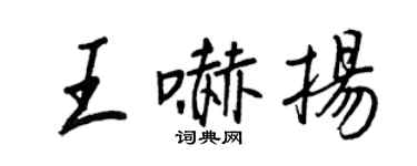 王正良王吓扬行书个性签名怎么写