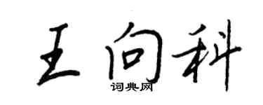 王正良王向科行书个性签名怎么写