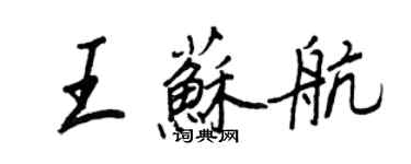 王正良王苏航行书个性签名怎么写
