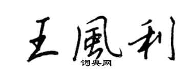 王正良王风利行书个性签名怎么写