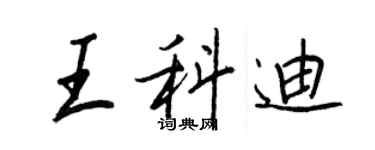 王正良王科迪行书个性签名怎么写