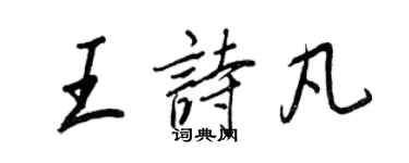 王正良王诗凡行书个性签名怎么写