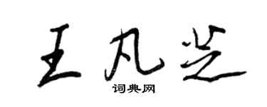 王正良王凡芝行书个性签名怎么写
