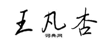 王正良王凡杏行书个性签名怎么写