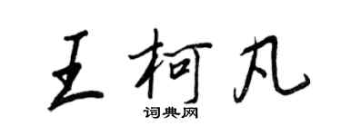 王正良王柯凡行书个性签名怎么写