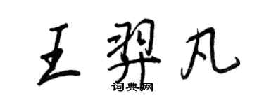 王正良王羿凡行书个性签名怎么写