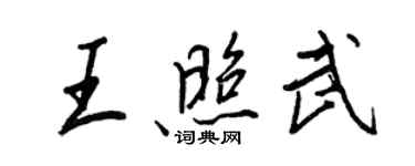 王正良王照武行书个性签名怎么写