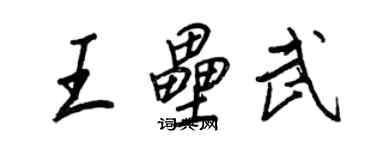 王正良王垒武行书个性签名怎么写