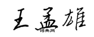 王正良王孟雄行书个性签名怎么写