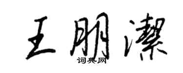 王正良王朋洁行书个性签名怎么写