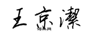 王正良王京洁行书个性签名怎么写
