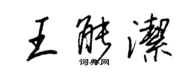 王正良王能洁行书个性签名怎么写