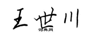 王正良王世川行书个性签名怎么写