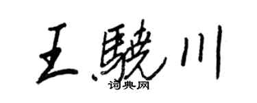 王正良王骁川行书个性签名怎么写