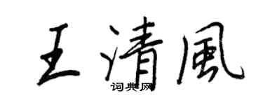 王正良王清风行书个性签名怎么写