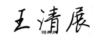 王正良王清展行书个性签名怎么写