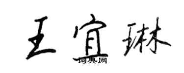王正良王宜琳行书个性签名怎么写