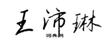 王正良王沛琳行书个性签名怎么写